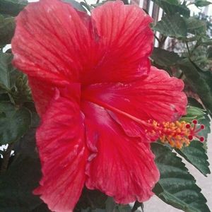 Meet your Posher!! 💙